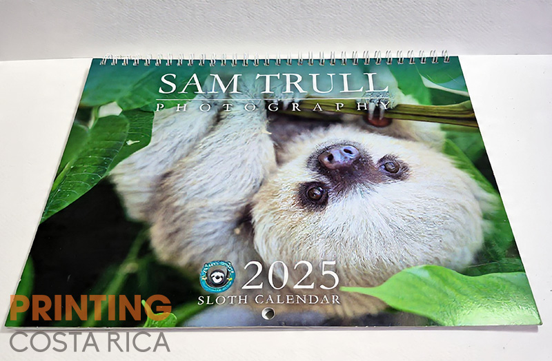 Sloth Calendario