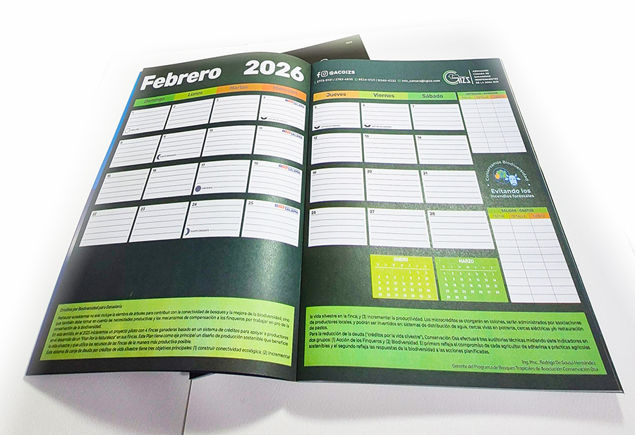 Planificador 2026
